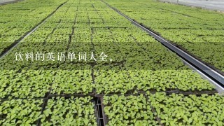 饮料的英语单词大全。