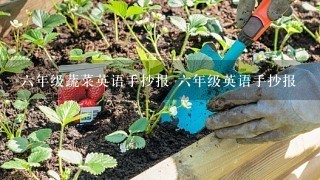 6年级蔬菜英语手抄报 6年级英语手抄报