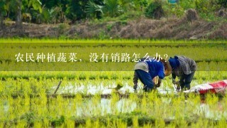 农民种植蔬菜，没有销路怎么办？