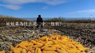 娃娃菜为什么是3个1包装？