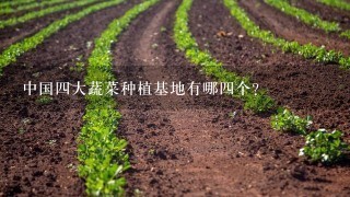 中国4大蔬菜种植基地有哪4个？