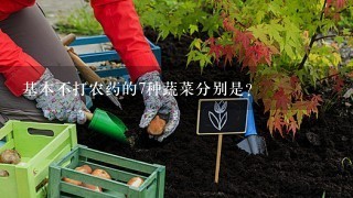 基本不打农药的7种蔬菜分别是?