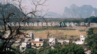 西安市最大的蔬菜批发市场在哪里?