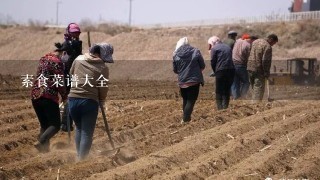 素食菜谱大全