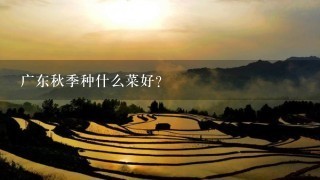 广东秋季种什么菜好？