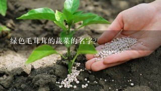 绿色毛茸茸的蔬菜的名字？