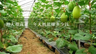 种大棚蔬菜1年大概能赚多少钱