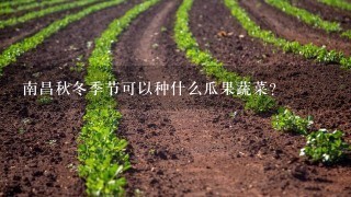 南昌秋冬季节可以种什么瓜果蔬菜？