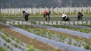 想吃蔬菜沙拉，有谁知道蔬菜沙拉需要哪些食材，怎么个做法？