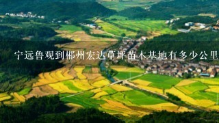 宁远鲁观到郴州宏达草坪苗木基地有多少公里?