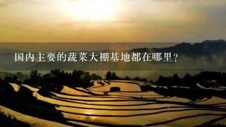 国内主要的蔬菜大棚基地都在哪里？