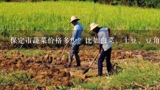 保定市蔬菜价格多少？比如白菜、土豆、豆角、黄瓜、