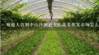 顺德大良到中山沙朗最大的蔬菜批发市场怎么走