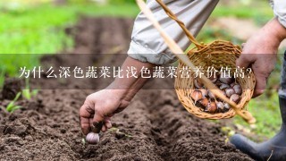 为什么深色蔬菜比浅色蔬菜营养价值高？