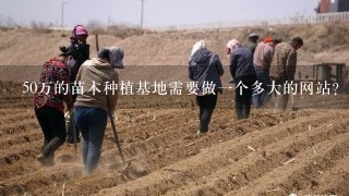 50万的苗木种植基地需要做1个多大的网站？投资多少钱？