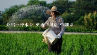 介绍1种水果 英语 5句话 带翻译