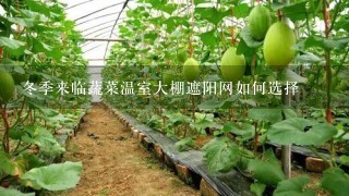 冬季来临蔬菜温室大棚遮阳网如何选择