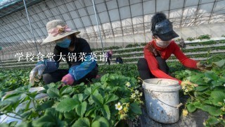 学校食堂大锅菜菜谱