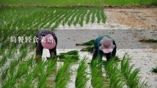 简餐轻食菜谱