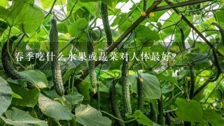 春季吃什么水果或蔬菜对人体最好？