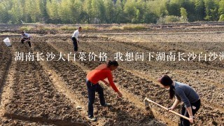 湖南长沙大白菜价格 我想问下湖南长沙白沙洲蔬菜市场大白菜的近期价格，和需要的品种