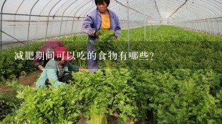 减肥期间可以吃的食物有哪些？