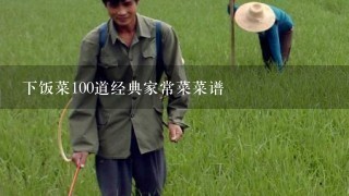 下饭菜100道经典家常菜菜谱