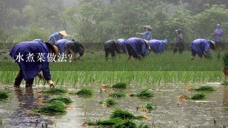 水煮菜做法？