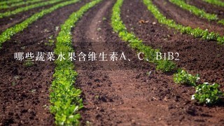 哪些蔬菜水果含维生素A、C、B1B2