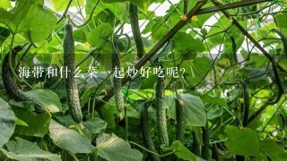 海带和什么菜1起炒好吃呢？