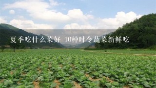 夏季吃什么菜好 10种时令蔬菜新鲜吃