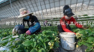 榨菜含钙量多少 卫生学里面提示其钙含量仅次于虾仁，食物排名第2，具体数值记不清