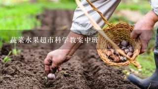 蔬菜水果超市科学教案中班