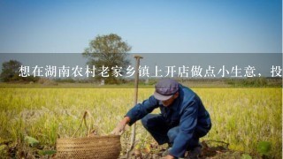 想在湖南农村老家乡镇上开店做点小生意，投资5万之内，请给点建议做什么生意好？谢谢。