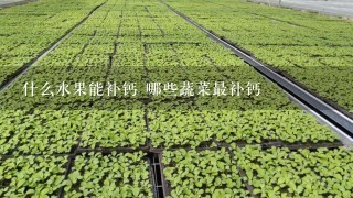 什么水果能补钙 哪些蔬菜最补钙