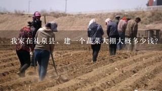 我家在礼泉县，建1个蔬菜大棚大概多少钱？