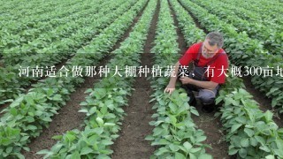 河南适合做那种大棚种植蔬菜，有大概300亩地，能建几个棚，大概要投资多少？