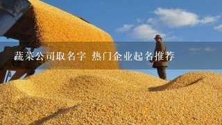 蔬菜公司取名字 热门企业起名推荐