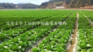 完全土生土长的中国蔬菜有哪些