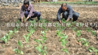 在超市卖菜认秤超市都是公斤秤，菜价是几斤几毛乘以2，怎么算的快？