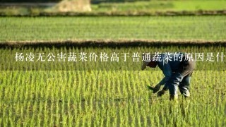 杨凌无公害蔬菜价格高于普通蔬菜的原因是什么?运用《经济生活》的有关知识。高1政治