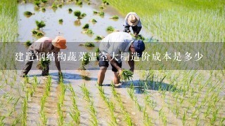 建造钢结构蔬菜温室大棚造价成本是多少