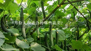 718月份大棚适合种哪些蔬菜？