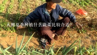 大棚夏季种植什么蔬菜比较合适？