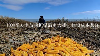 1000平方米玻璃恒温温室大棚，建设成本及详细方案