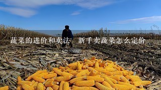 蔬菜的进价和卖法–新手卖蔬菜怎么定价