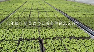 7年级上册英语75页所有单词怎么读？