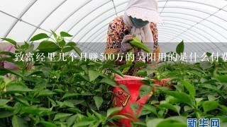 致富经里几个月赚500万的吴阳用的是什么付费软件可以找到各国客户有产品需求�?