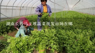 湖南长沙马王堆蔬菜批发市场在哪