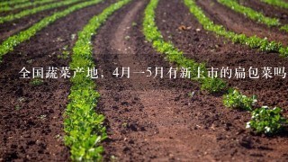 全国蔬菜产地，4月15月有新上市的扁包菜吗